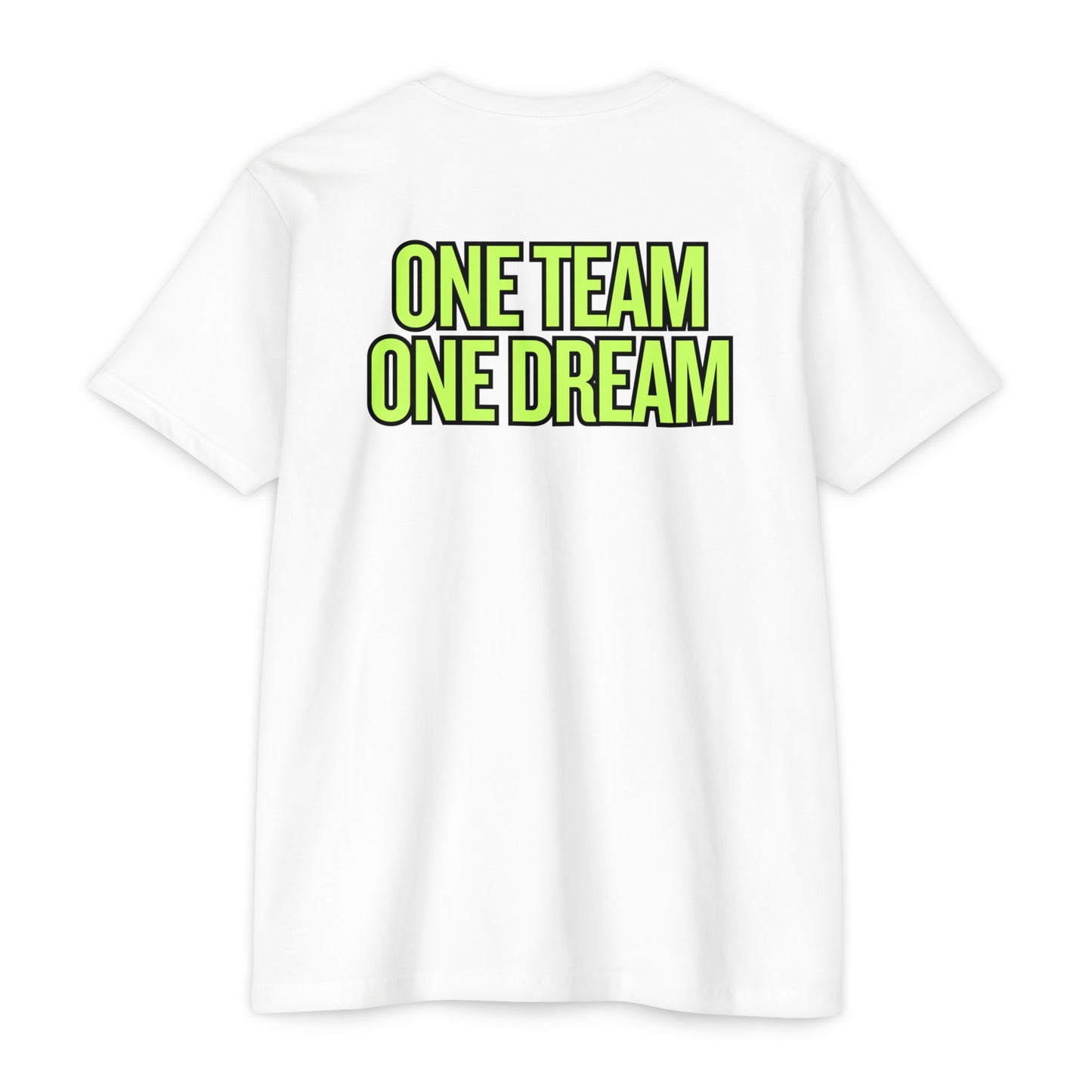 Dream Chasers Basic Logo